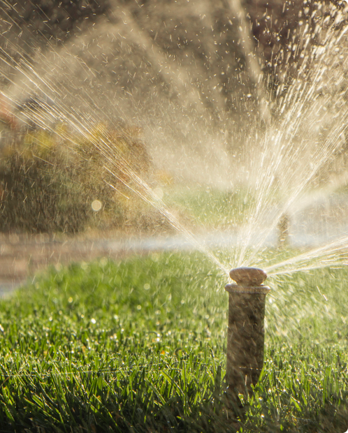 通过调整你的洒水系统——绿色草坪上的洒水系统，保护是很容易的